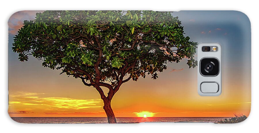 Hawaii Galaxy Case featuring the photograph Sunset Tree by John Bauer