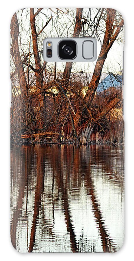 Spring Galaxy Case featuring the photograph Sunset Tree Reflections With Barn by Debbie Oppermann