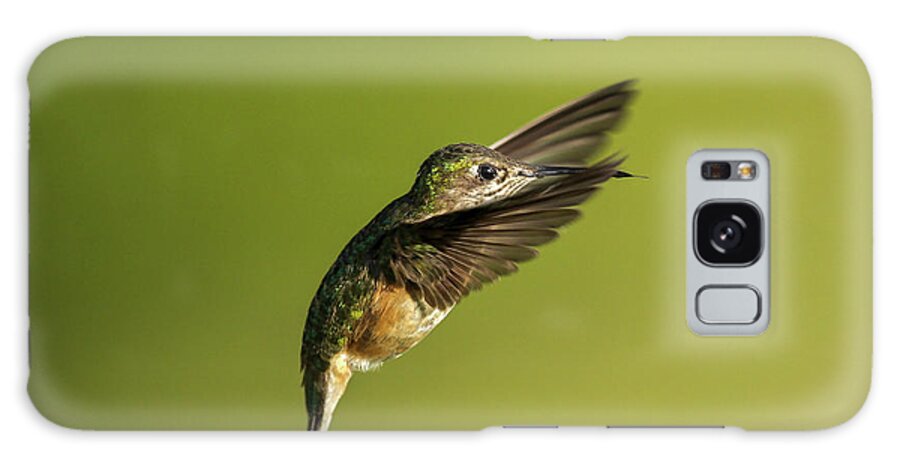 Hummingbird Galaxy Case featuring the photograph Suspended in Motion by Ronnie And Frances Howard