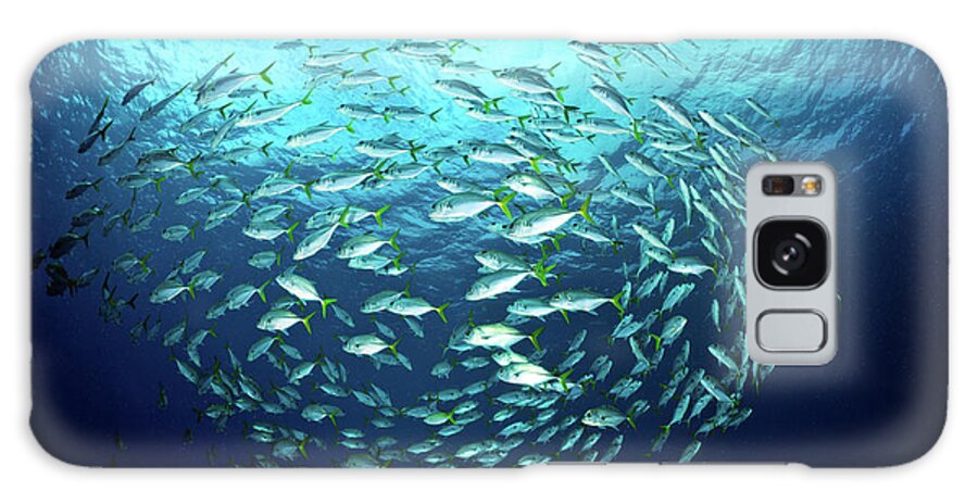 Underwater Galaxy Case featuring the photograph Swimming Fishes by Extreme-photographer
