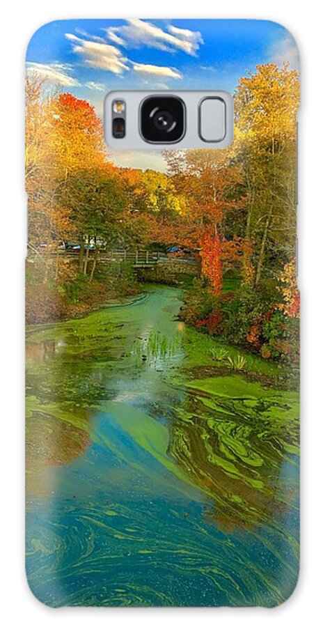 Landscape Galaxy Case featuring the photograph Swirls of Autumn by Lisa Pearlman