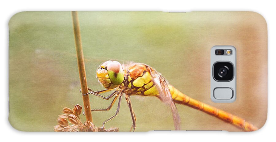 Dragonfly Galaxy Case featuring the photograph Sympetrum Vulgatum by Jaroslav Buna