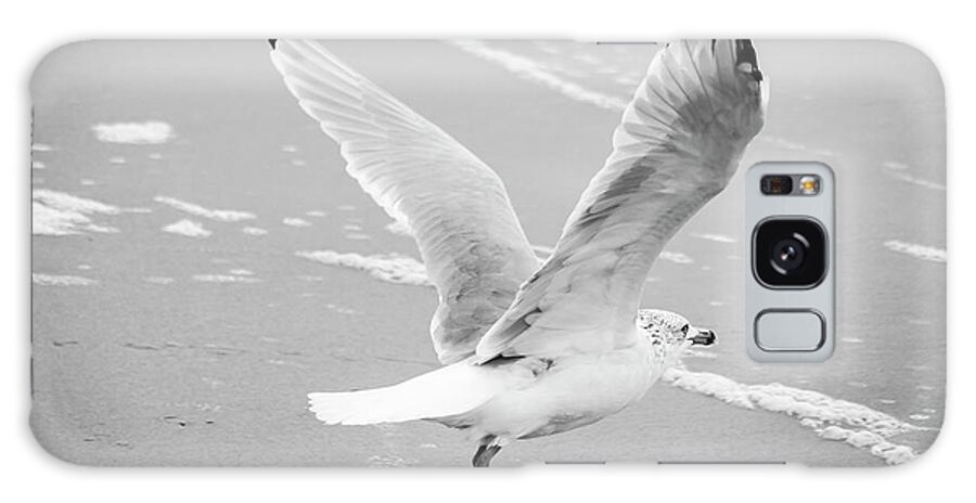 Seagull Galaxy Case featuring the photograph Take Off by Cate Franklyn