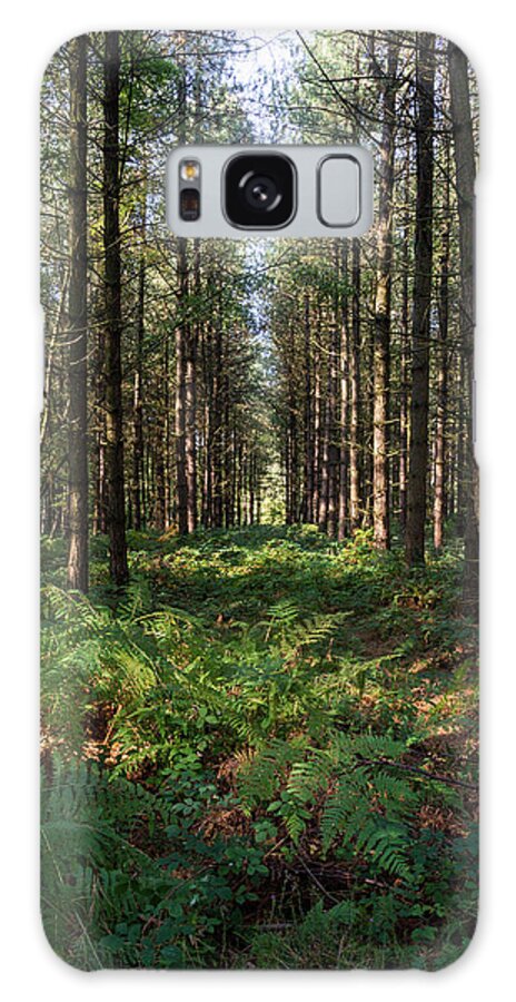 Ancient Galaxy Case featuring the photograph Tall trees in Sherwood Forest by Scott Lyons