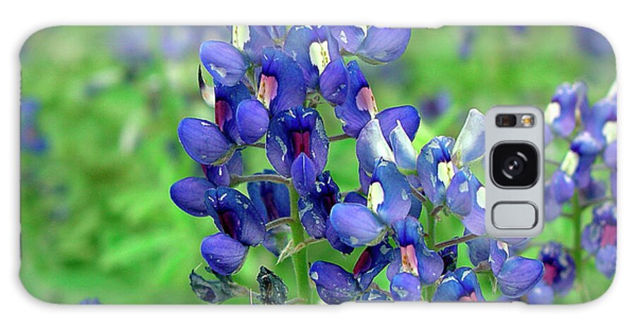 Texas Bluebonnets Galaxy Case featuring the photograph Texas Bluebonnets by Audrey