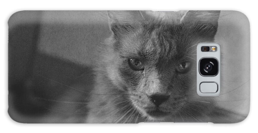 Angry Galaxy Case featuring the photograph The angry cat - black and white by Yavor Mihaylov
