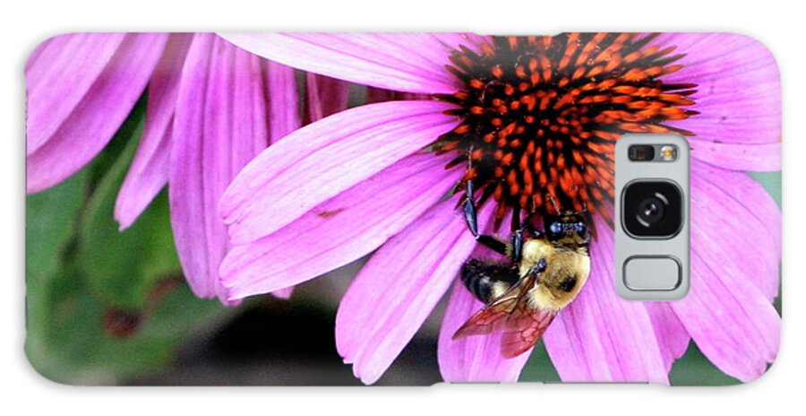 Pink Galaxy Case featuring the photograph The Bee's Knees by Misty Morehead