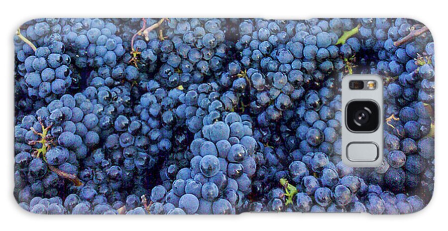 Grapes Galaxy Case featuring the photograph A Zillion grapes now that's alot by Leslie Struxness
