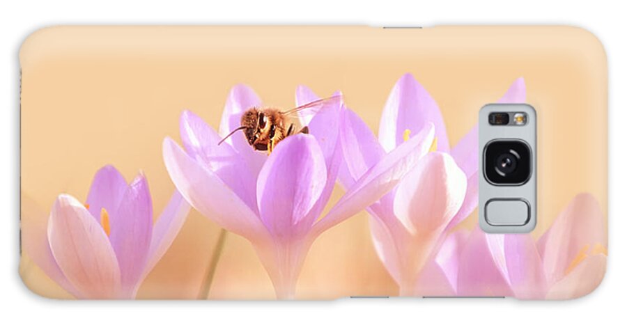 Crocus Galaxy Case featuring the photograph The Earth Blooms by Jaroslav Buna