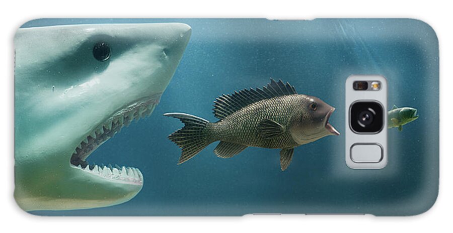 Underwater Galaxy Case featuring the photograph The Food Chain by Pm Images
