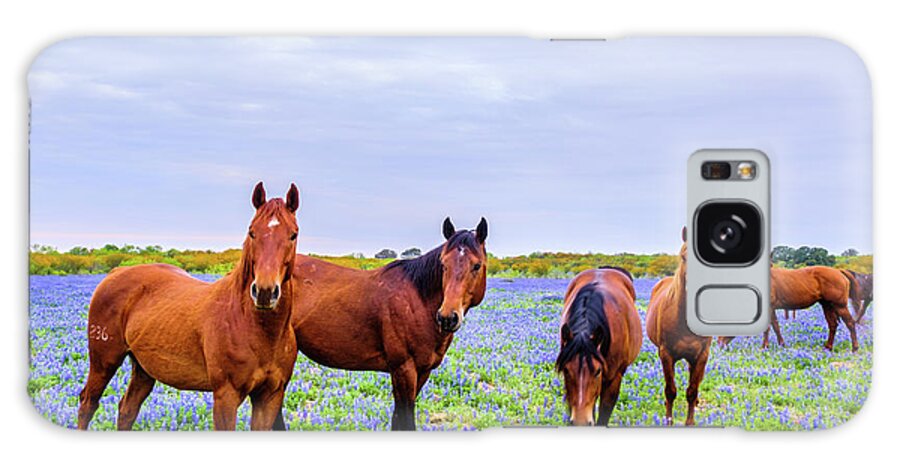 Austin Galaxy Case featuring the photograph The Gang of Mares by Johnny Boyd