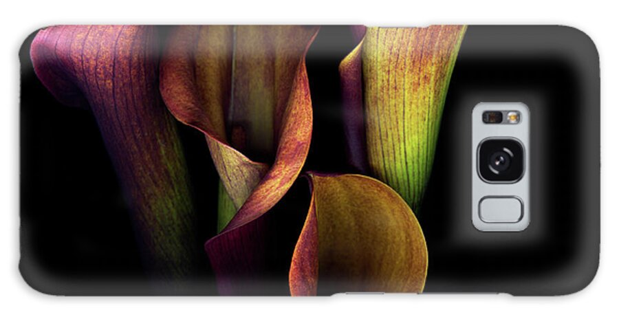 Calla Lily Galaxy Case featuring the photograph The Golden Curves And Chalices Of Callas by Photograph By Magda Indigo