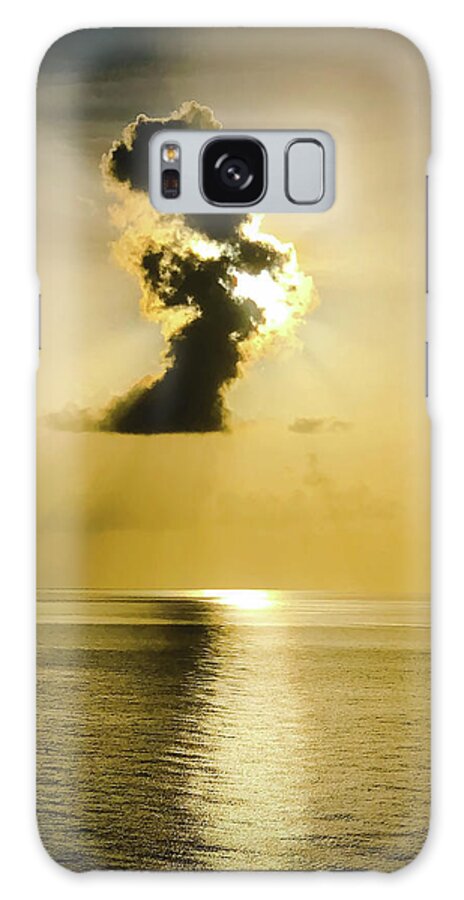 Golden Hour Galaxy Case featuring the photograph The Golden Hour by Pheasant Run Gallery