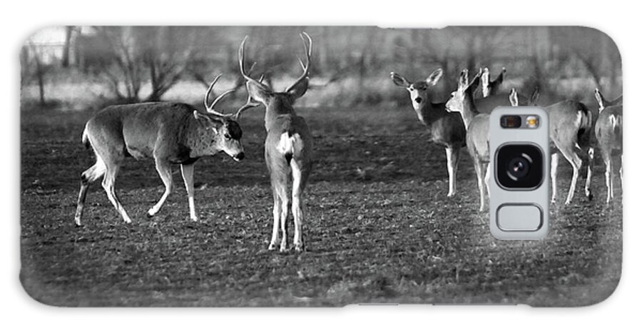 Richard E. Porter Galaxy Case featuring the photograph Squaring Off - Deer, Texas Panhandle by Richard Porter