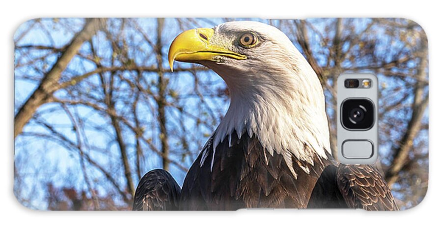 Eagle Galaxy Case featuring the photograph The Look by Laura Hedien