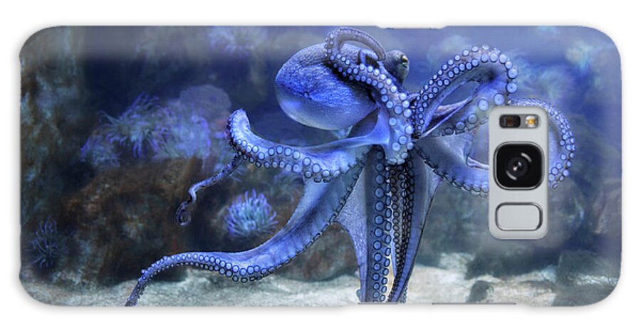 Animals Galaxy Case featuring the photograph The Octopus by Joachim G Pinkawa