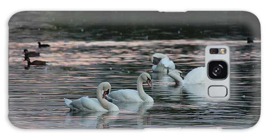 Park Galaxy Case featuring the photograph The Serpentine's Swans and Ducks by Laura Smith