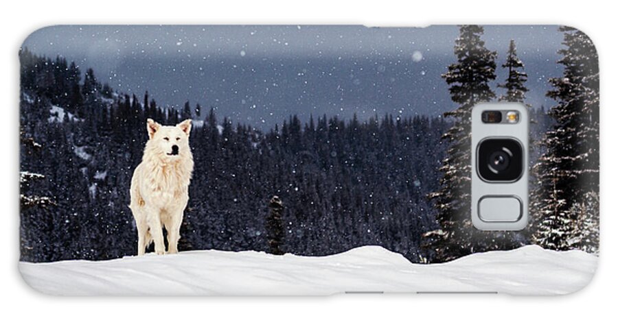 Animals Galaxy Case featuring the photograph The Wolf by Evgeni Dinev