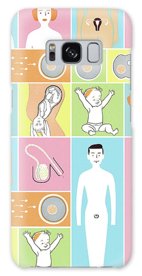 Anatomical Galaxy Case featuring the drawing This is How a Baby is Made by CSA Images