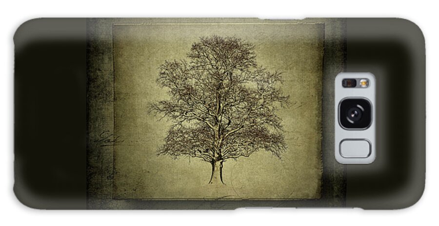 Trees Galaxy Case featuring the photograph This Tree Is On The Square by Rene Crystal