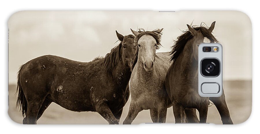 Wild Horses Galaxy Case featuring the photograph Three Amigos by Mary Hone