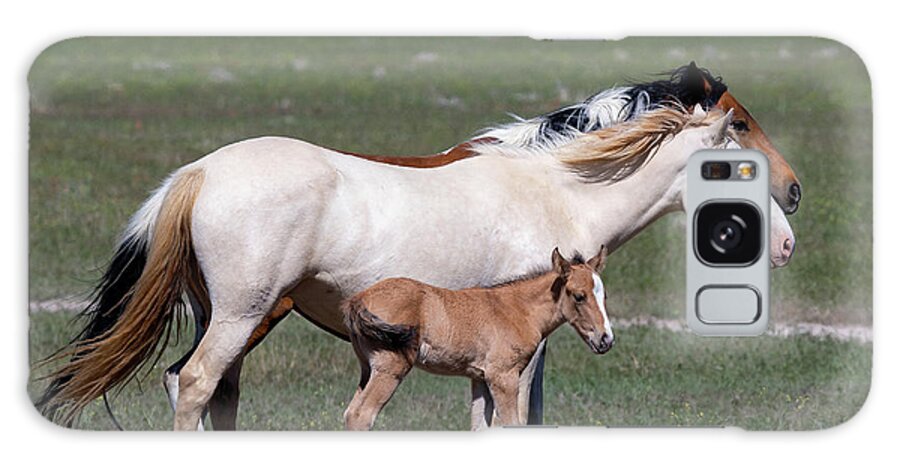 Wild Horses Galaxy Case featuring the photograph Three generations by Mary Hone