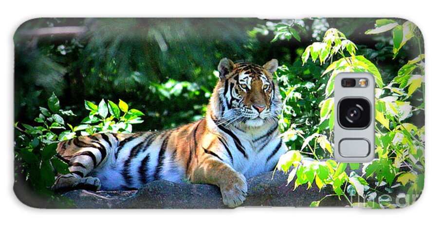 Tiger Galaxy Case featuring the photograph Tiger Time by John Olson