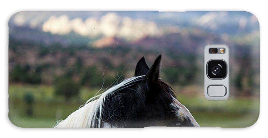 Horse Galaxy Case featuring the photograph Torrey Horse #2 by Jonathan Thompson
