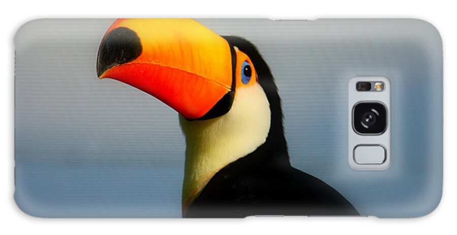 Greece Galaxy Case featuring the photograph Toucan Ramphastos Toco by T. Vossinakis, Paros Island, Greece
