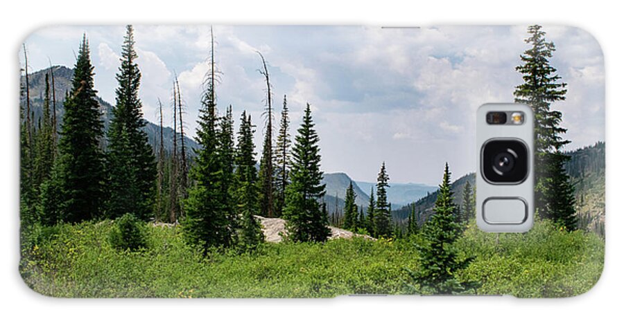 Mountain Galaxy Case featuring the photograph Trail to Gilpin Lake by Nicole Lloyd