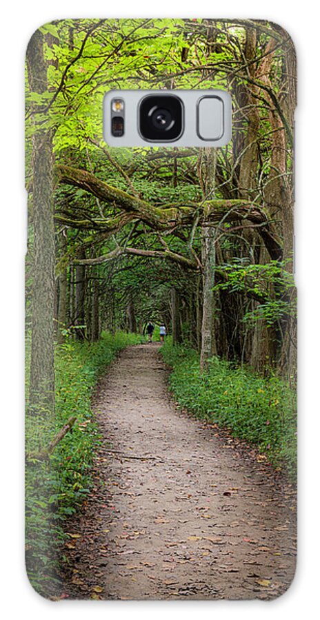 Woods Galaxy Case featuring the photograph Tranquil Stroll by Arthur Oleary