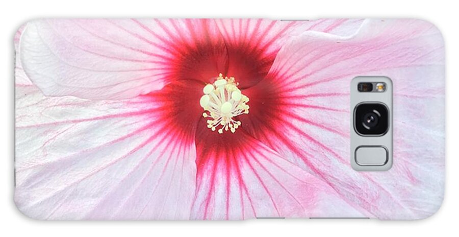 Hibiscus Galaxy Case featuring the photograph Transluscent Hibiscus by Anjel B Hartwell