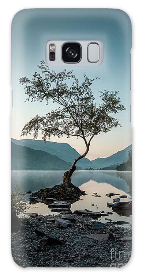 Llanberis Galaxy Case featuring the photograph Tree at Llyn Padarn by David Lichtneker