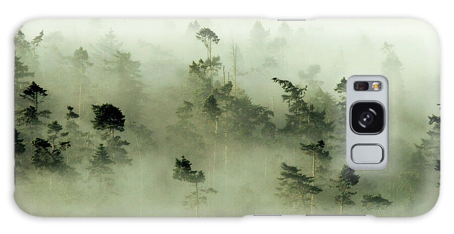 Fog Galaxy Case featuring the photograph Trees peeking through the fog at sunrise by Leslie Struxness