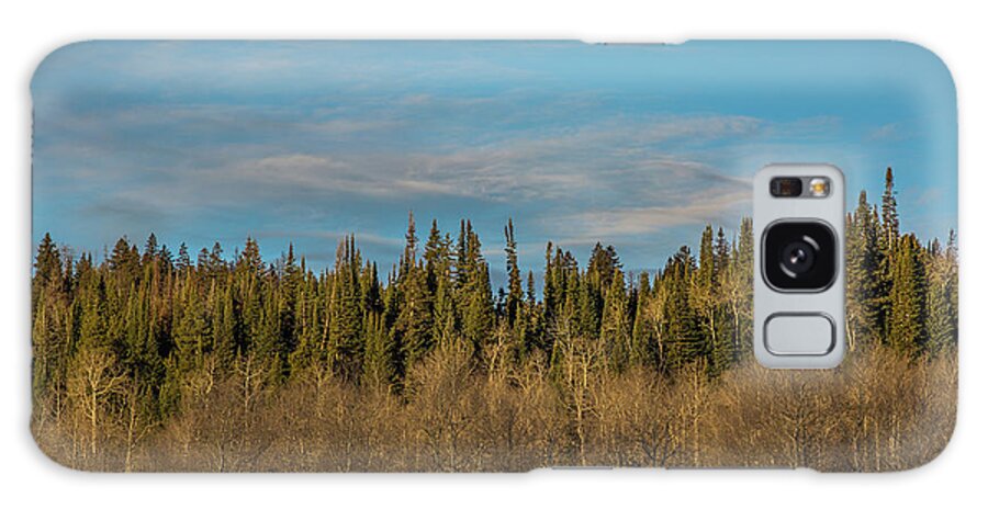 Trees Galaxy Case featuring the photograph Treescape, Wyoming by Julieta Belmont