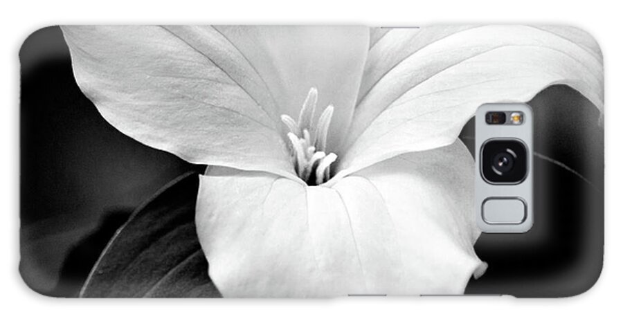 Trillium Flower Galaxy S8 Case featuring the photograph Trillium Black and White by Christina Rollo