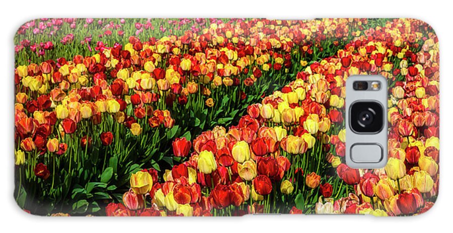 Tulip Galaxy Case featuring the photograph Tulips Glorious Tulips by Garry Gay