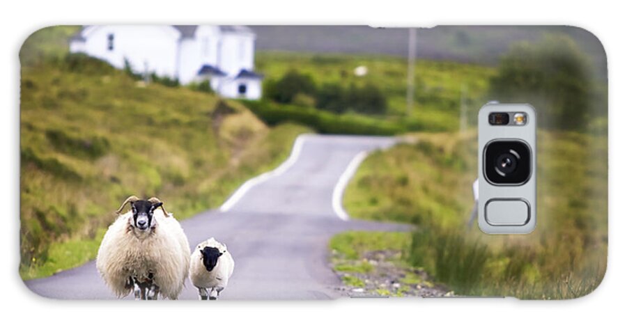 Country Galaxy Case featuring the photograph Two Sheep Walking On Street In Scotland by Otmarw
