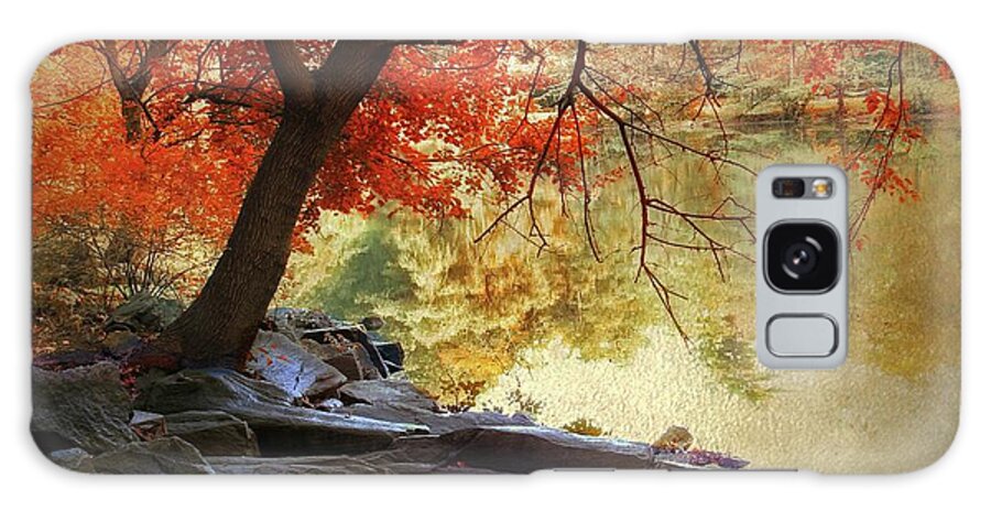 Autumn Galaxy Case featuring the photograph Under the Maple by Jessica Jenney