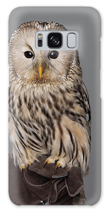 People Galaxy Case featuring the photograph Ural Owl Perched On Falconers Glove by Nisian Hughes