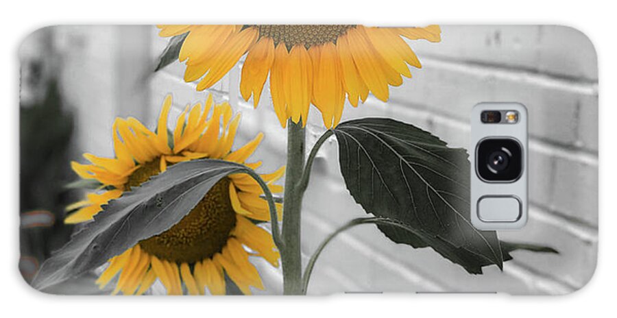 Sunflower Galaxy Case featuring the photograph Urban Sunflower - Black and White by Lora J Wilson