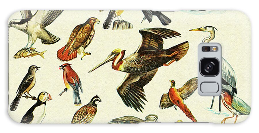 Animal Galaxy Case featuring the drawing Variety of Birds by CSA Images