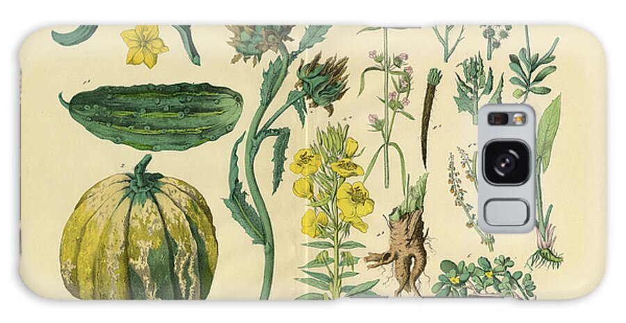 Evening Primrose Galaxy Case featuring the digital art Vegetables And Flowers Of The Garden by Bauhaus1000