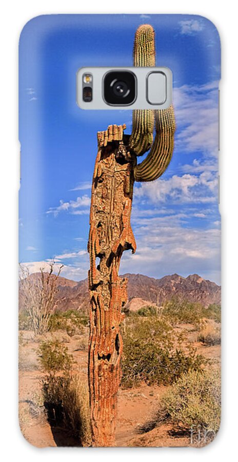 Cacti Galaxy Case featuring the photograph Very Hardy Cactus by Robert Bales