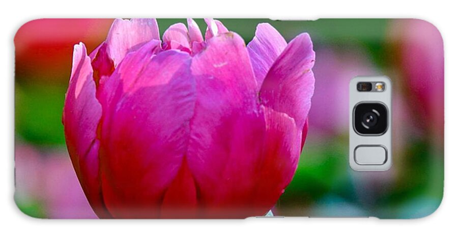 Beautiful Galaxy S8 Case featuring the photograph Vibrant Pink Peony by Susan Rydberg
