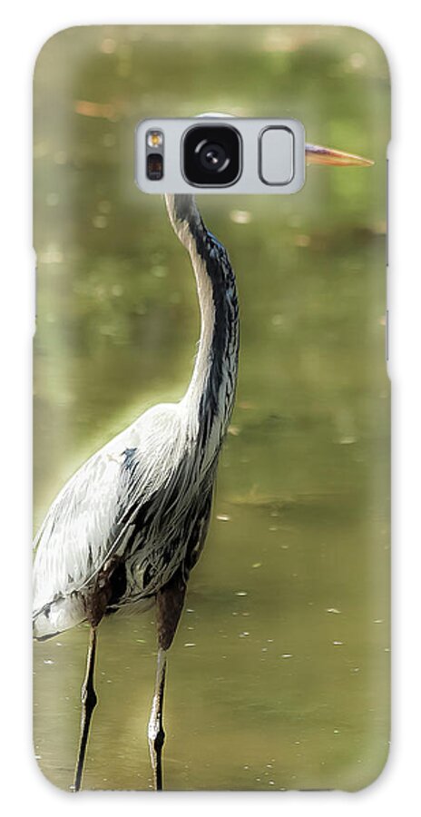 Wading To Dream Galaxy Case featuring the photograph Wading To Dream by Lara C Chapman