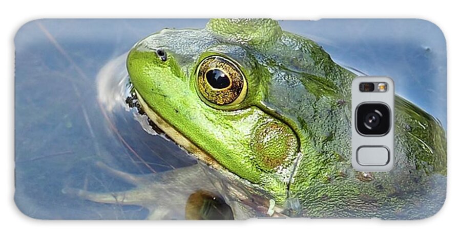 Amphibian Galaxy Case featuring the photograph Waiting For Supper by Alida M Haslett