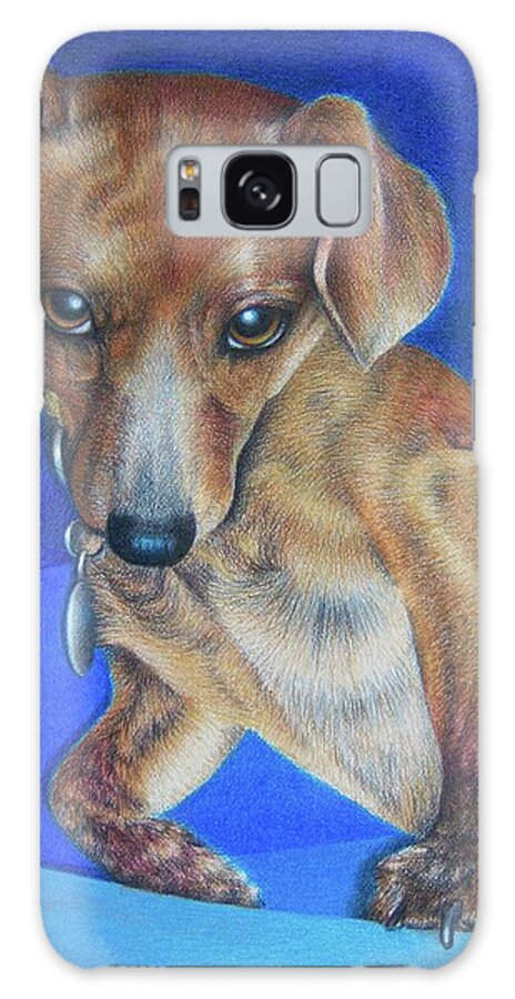 Dog Galaxy Case featuring the drawing Wasn't Me by Pamela Clements