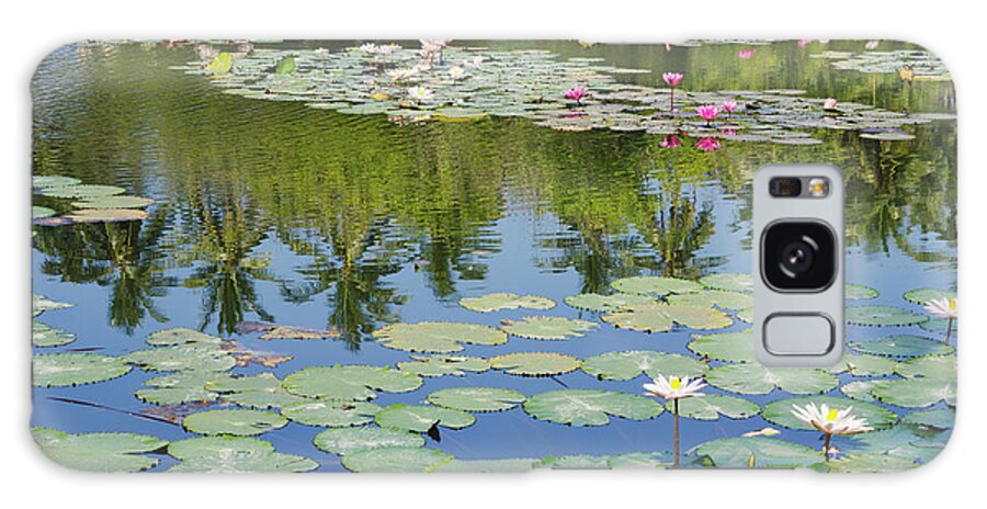 Scenics Galaxy Case featuring the photograph Water Lilies In Lagoon by Otto Stadler