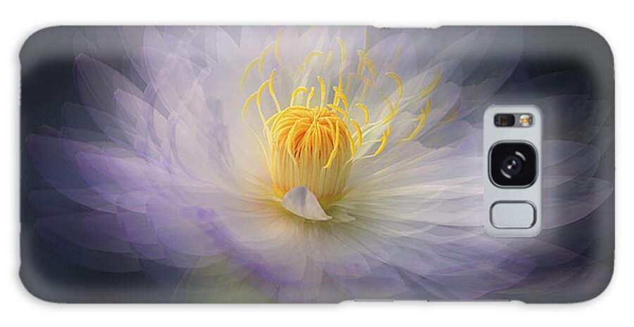 Water Galaxy Case featuring the photograph Water Lily by Jim Hatch